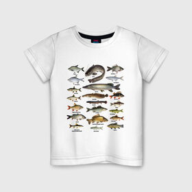 Детская футболка хлопок с принтом Популярные виды рыб , 100% хлопок | круглый вырез горловины, полуприлегающий силуэт, длина до линии бедер | рыба | рыбалка | рыбачить | туризм | туристические | туристу | улов