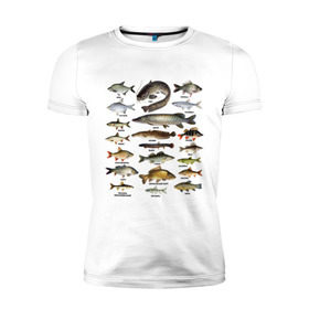 Мужская футболка премиум с принтом Популярные виды рыб , 92% хлопок, 8% лайкра | приталенный силуэт, круглый вырез ворота, длина до линии бедра, короткий рукав | рыба | рыбалка | рыбачить | туризм | туристические | туристу | улов