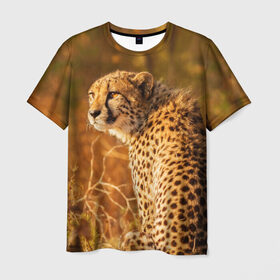 Мужская футболка 3D с принтом Дикая кошка , 100% полиэфир | прямой крой, круглый вырез горловины, длина до линии бедер | взгляд | гепард | дикая кошка | кошка | охота | сафари | хищник