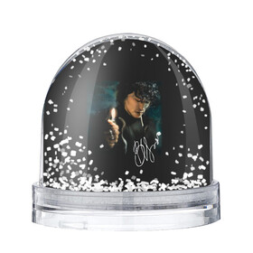 Игрушка Снежный шар с принтом Виктор Цой , Пластик | Изображение внутри шара печатается на глянцевой фотобумаге с двух сторон | kino | rock | кино | музыкант | рок | русский рок | сой | тцой | цой